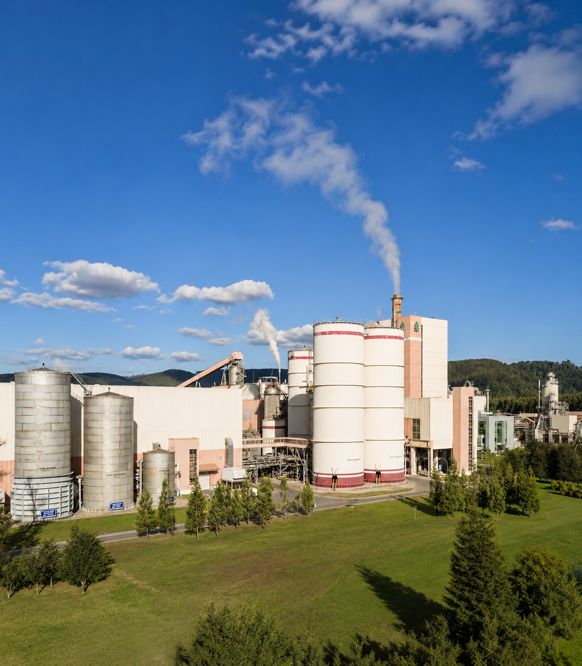 Minería, celulosa y procesos industriales